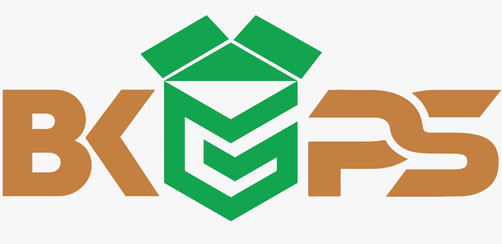 BKG Packaging Solutions Logo